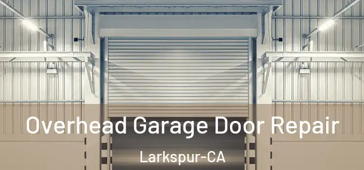  Overhead Garage Door Repair Larkspur-CA