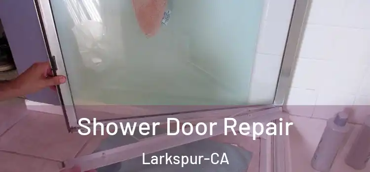  Shower Door Repair Larkspur-CA